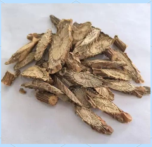 宽筋藤的功效与作用(海风藤伸筋草宽筋藤的功效与作用) 宽筋藤的功效与作用(海风藤伸筋草宽筋藤的功效与作用)