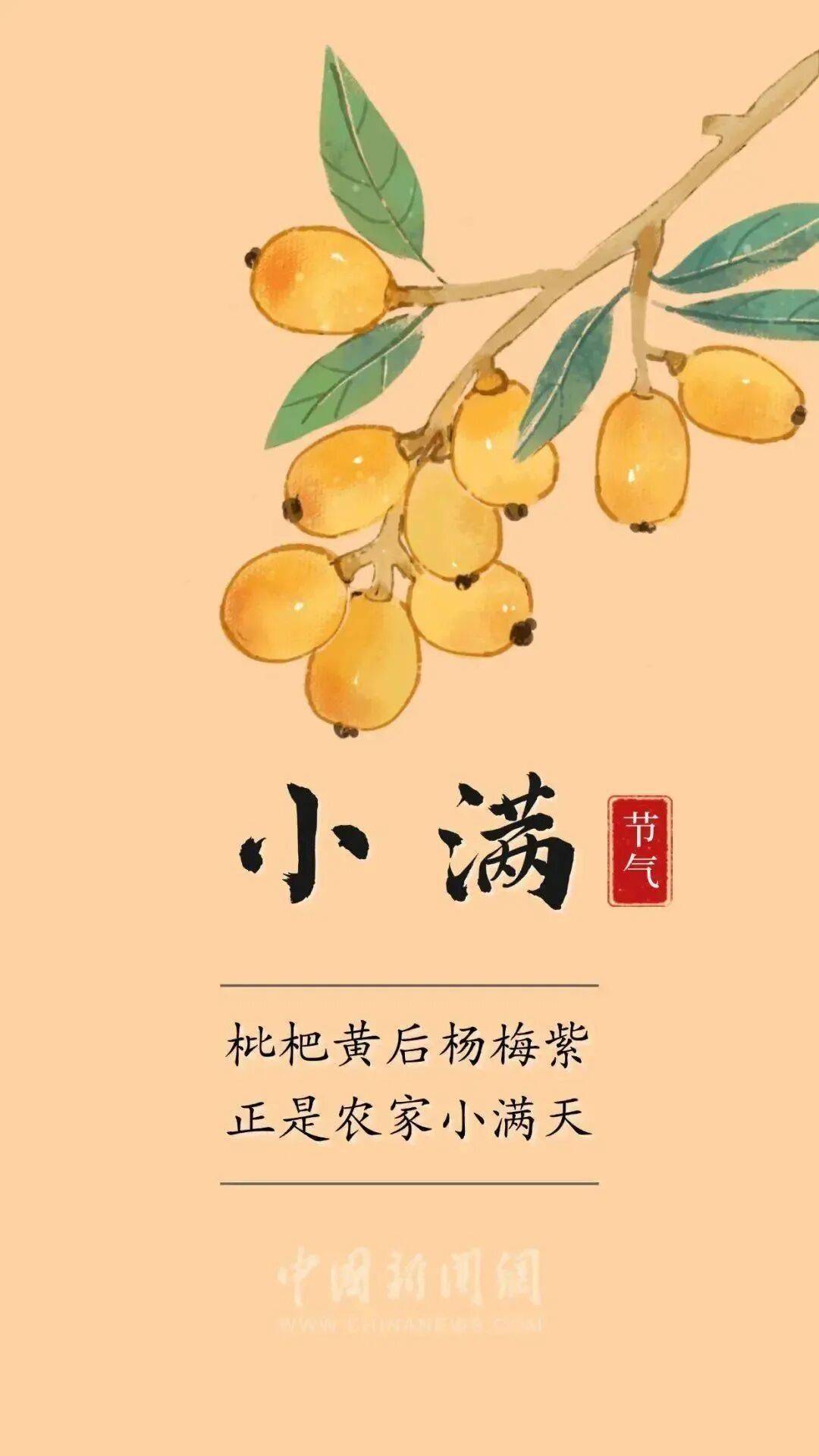 小满是什么节气?(小满是什么节气寓意是什么)