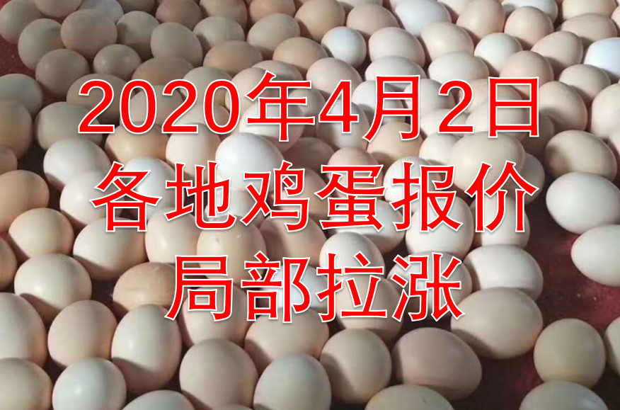 中国禽病网今日鸡蛋价格报价2020(中国禽病网今日鸡蛋价格行情百度鸡蛋价格淘汰鸡价格) 中国禽病网今日鸡蛋价格报价2020(中国禽病网今日鸡蛋价格行情百度鸡蛋价格淘汰鸡价格)