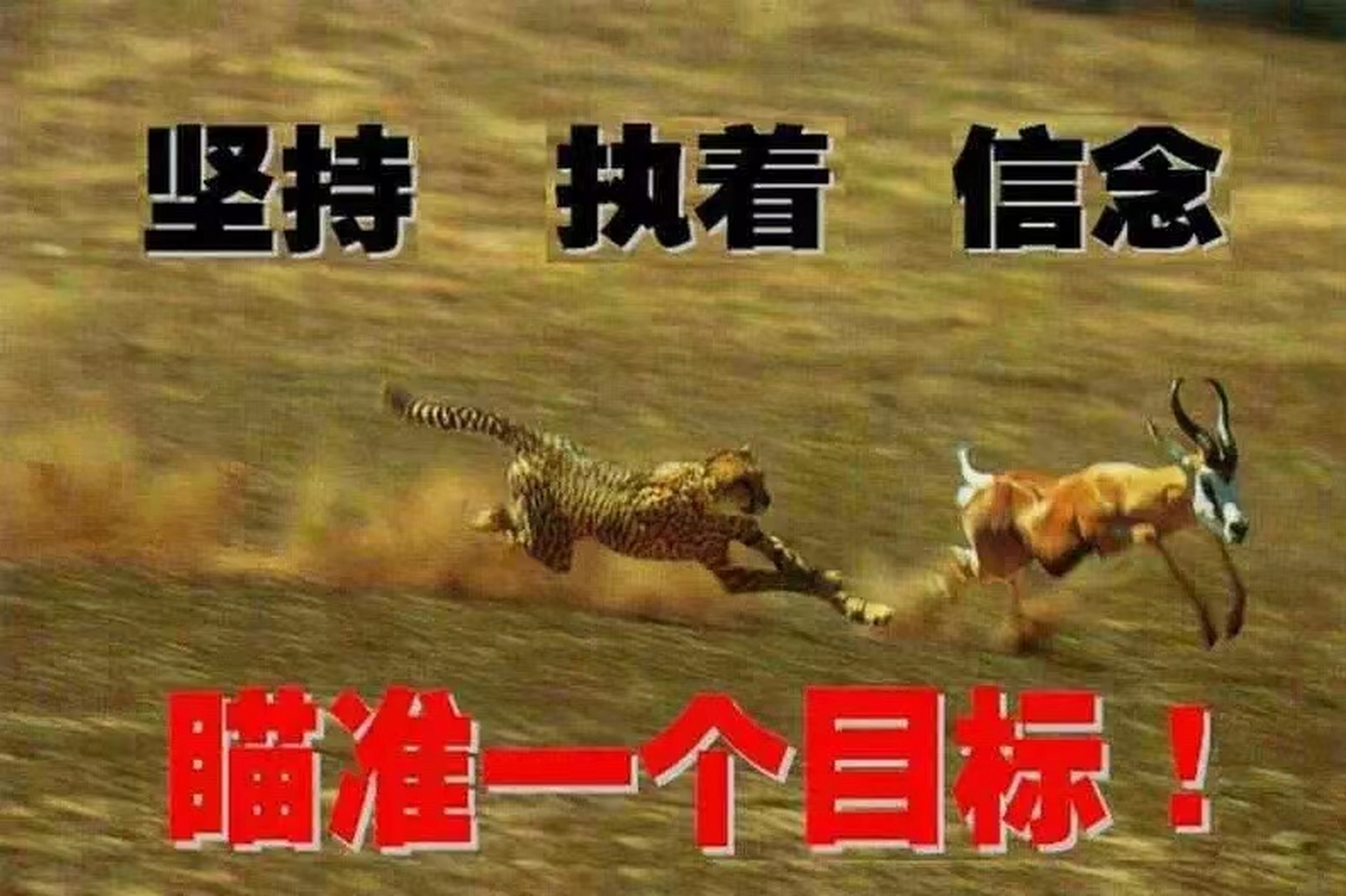 一蹴而就的拼音(一蹴而就的读音是什么意思是什么)