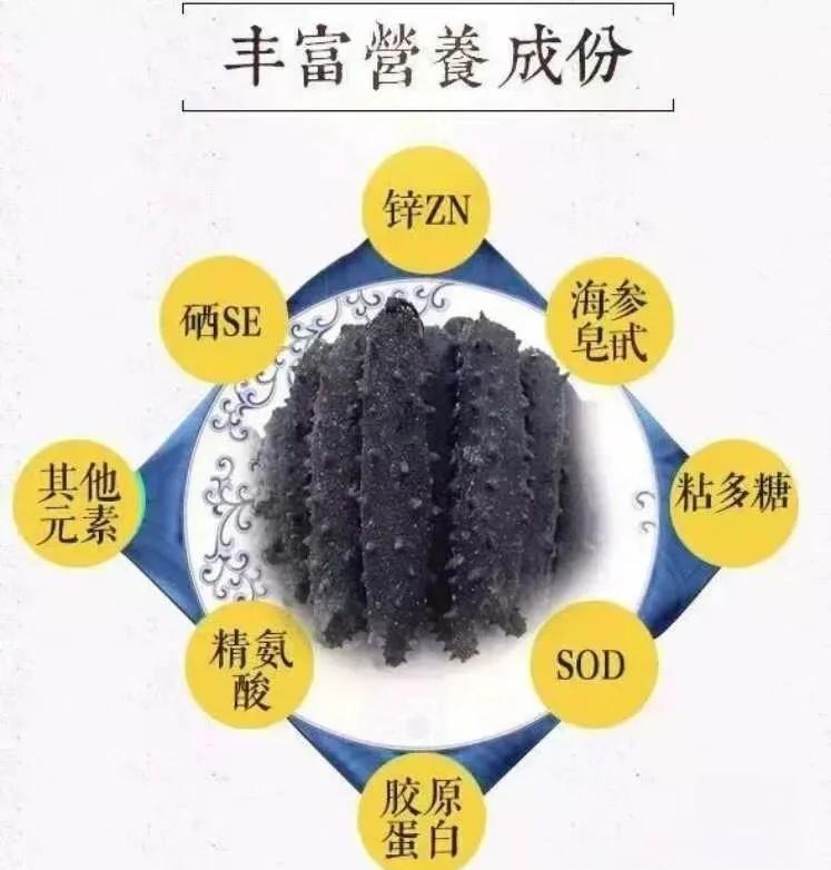 海参斑鱼的营养价值与功效(海参斑鱼的营养价值与功效图片)
