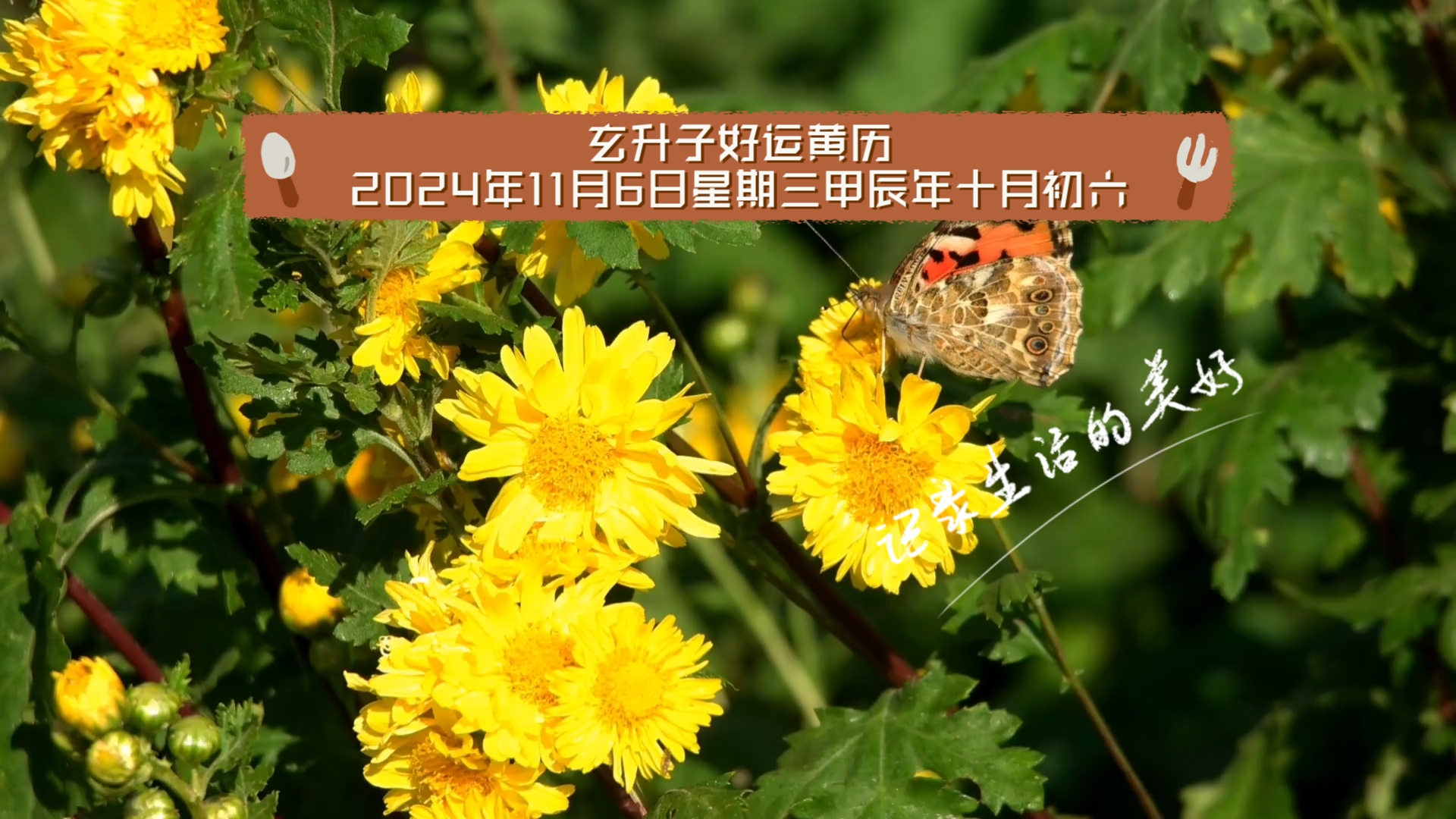 百度黄历(百度黄历查询)