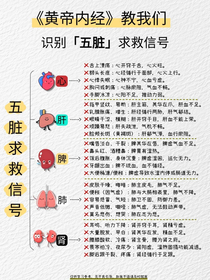 五脏六腑的拼音(五脏六腑的拼音和意思)