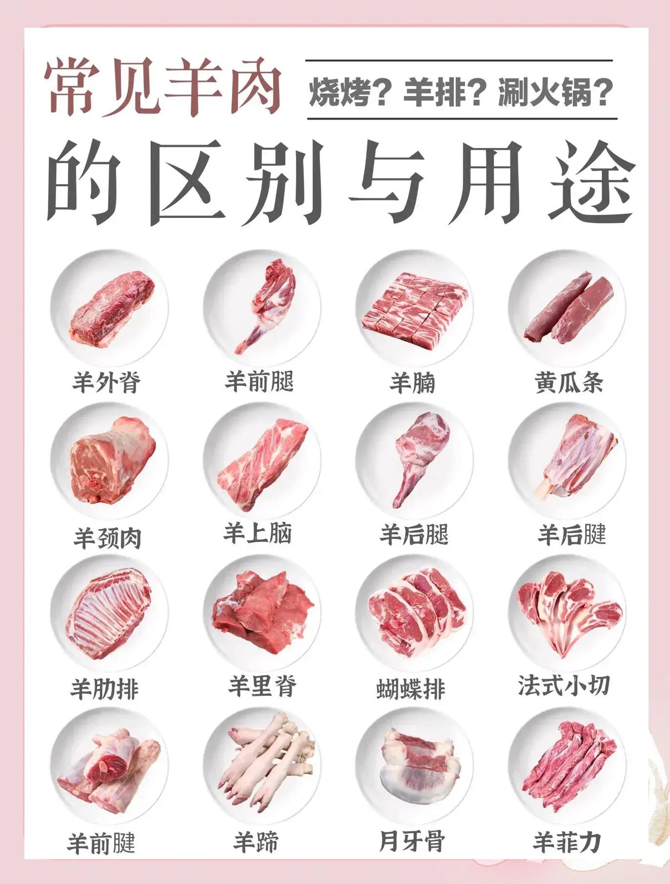 羊肉不能放什么调味料(羊肉不能放什么调味料呢)