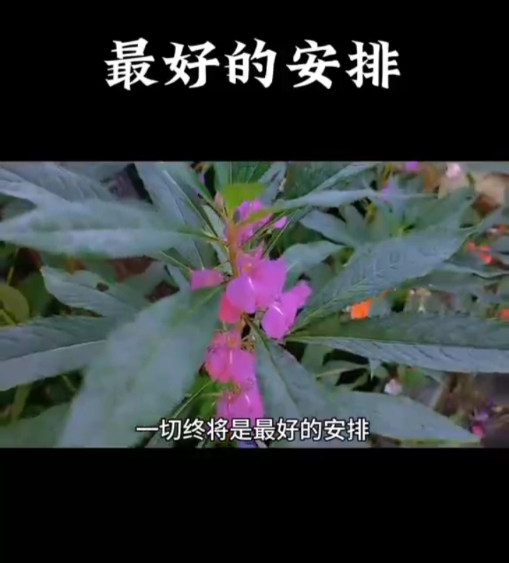 女生太早见家长的后果(恋爱期间尽量不去男方家对吗)