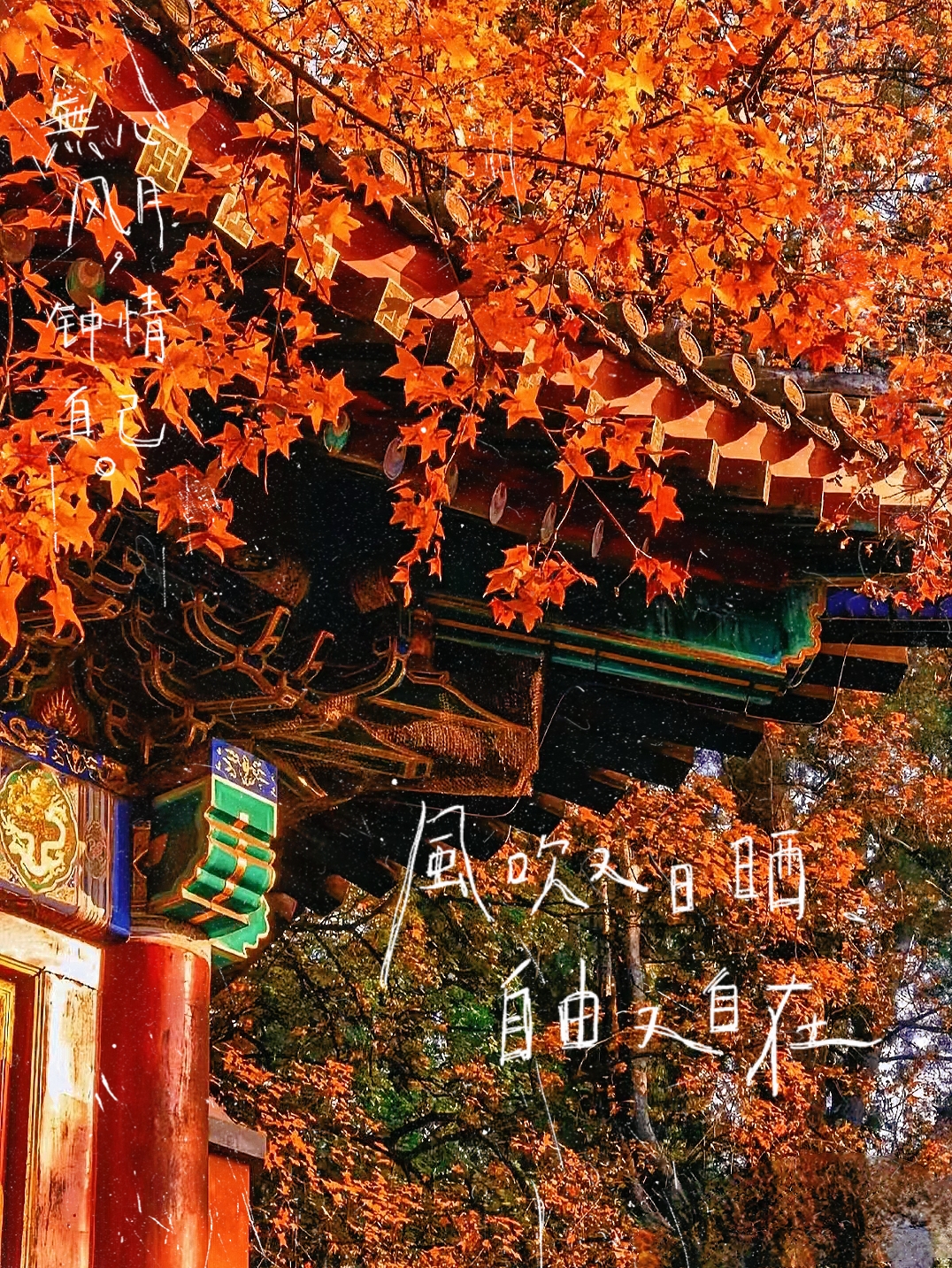 落英缤纷是什么意思(落英缤纷的解释是什么意思) 落英缤纷是什么意思(落英缤纷的解释是什么意思)
