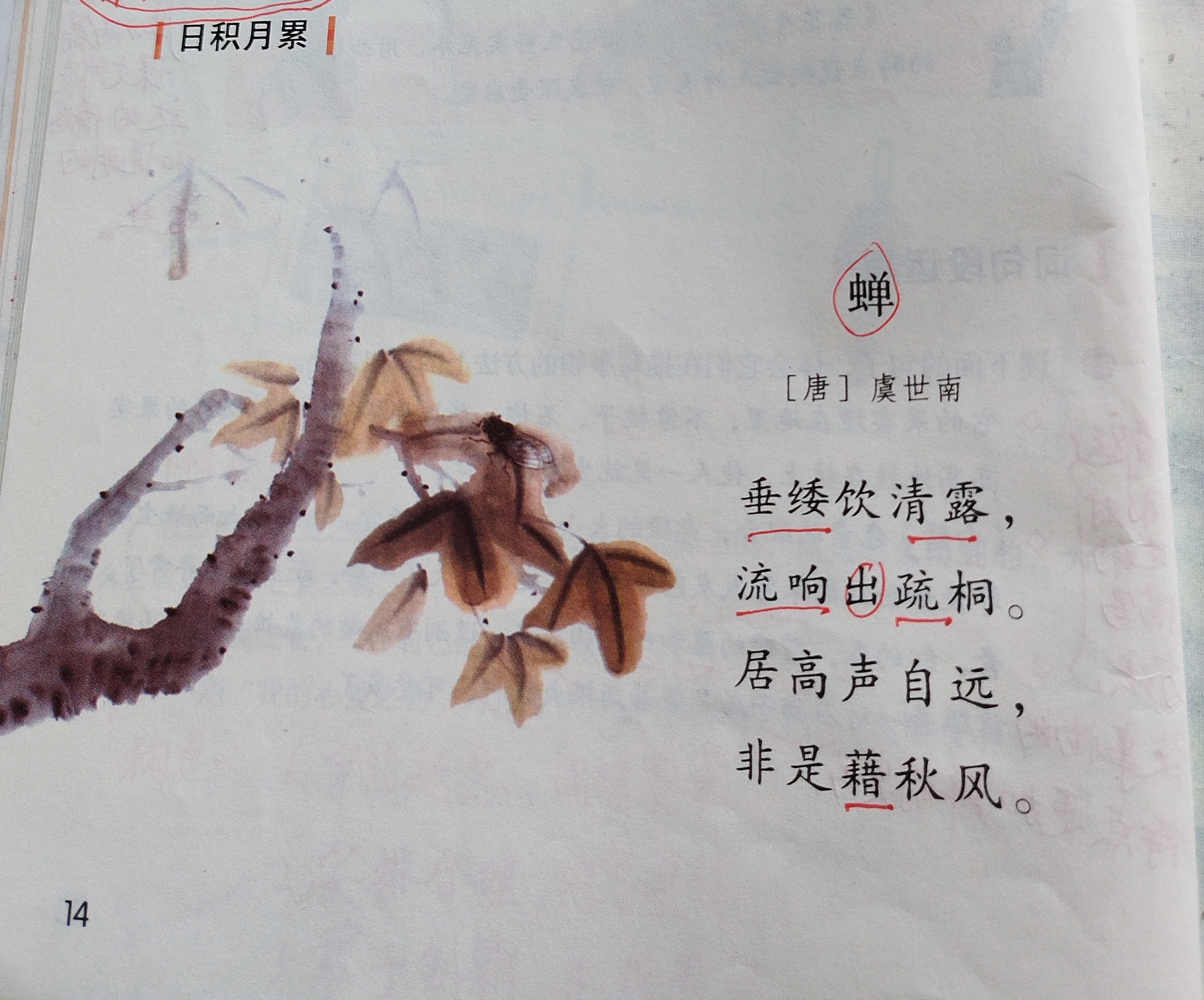 噤若寒蝉的意思(噤若寒蝉的意思解释) 噤若寒蝉的意思(噤若寒蝉的意思解释)