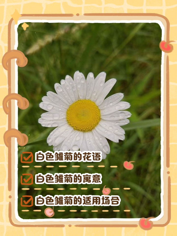 鸟语花香的意思解释(鸟语花香的意思解释是什么)
