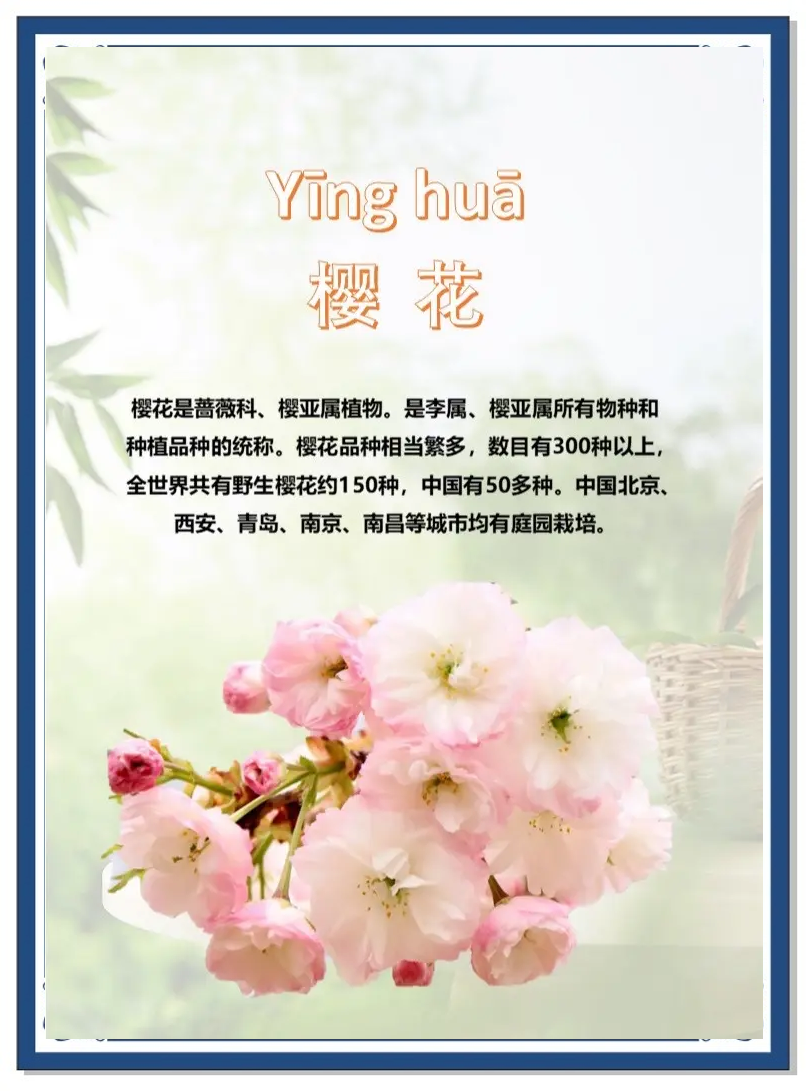 鸟语花香的意思解释(鸟语花香的意思解释是什么)
