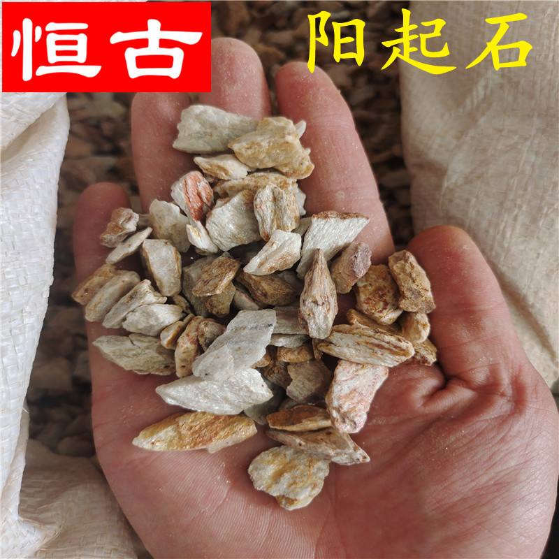 阳起石图片(阳起石图片和功效)