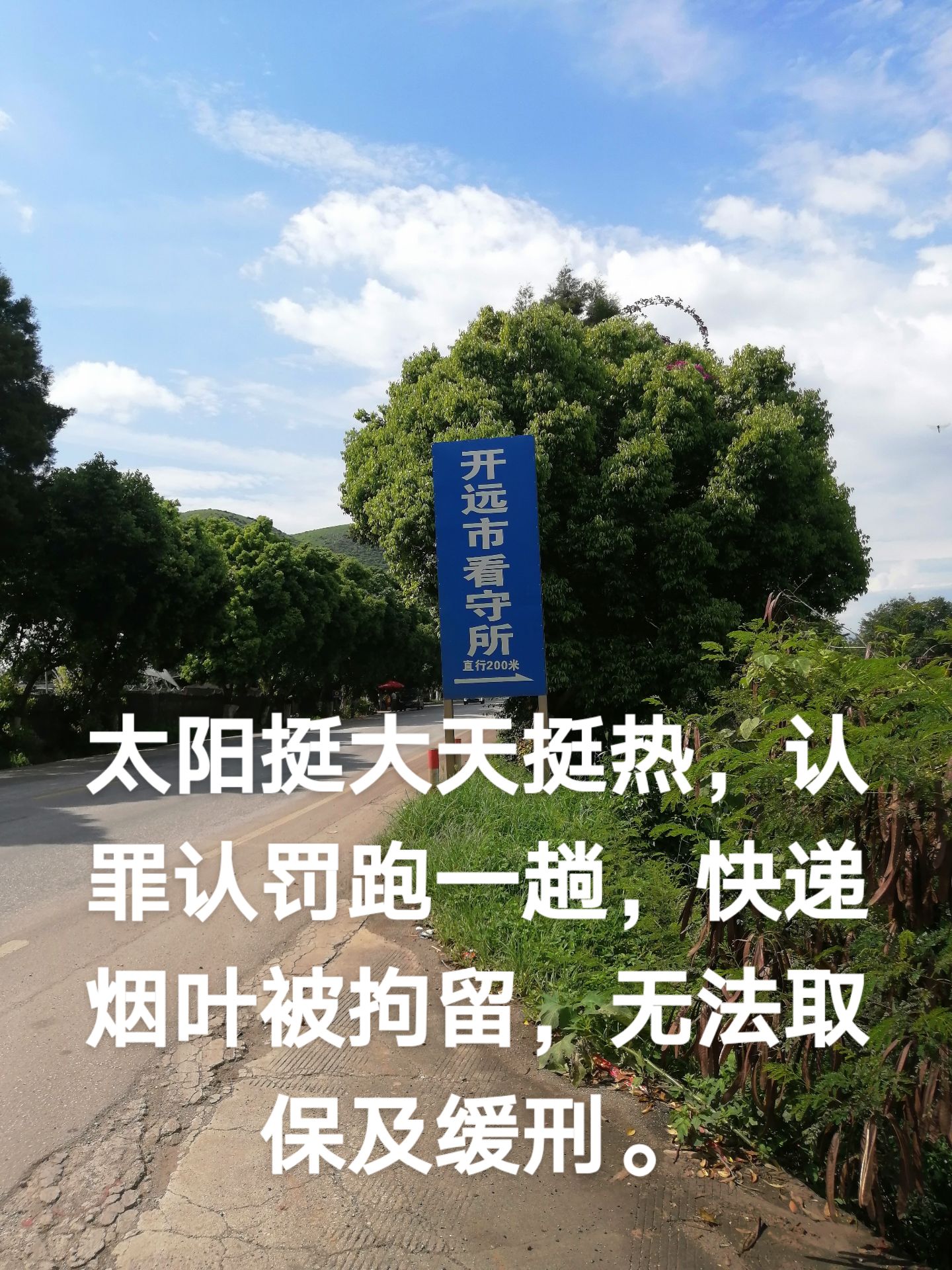 2021认罪认罚基本都判缓刑(2021认罪认罚基本都判缓刑吗)