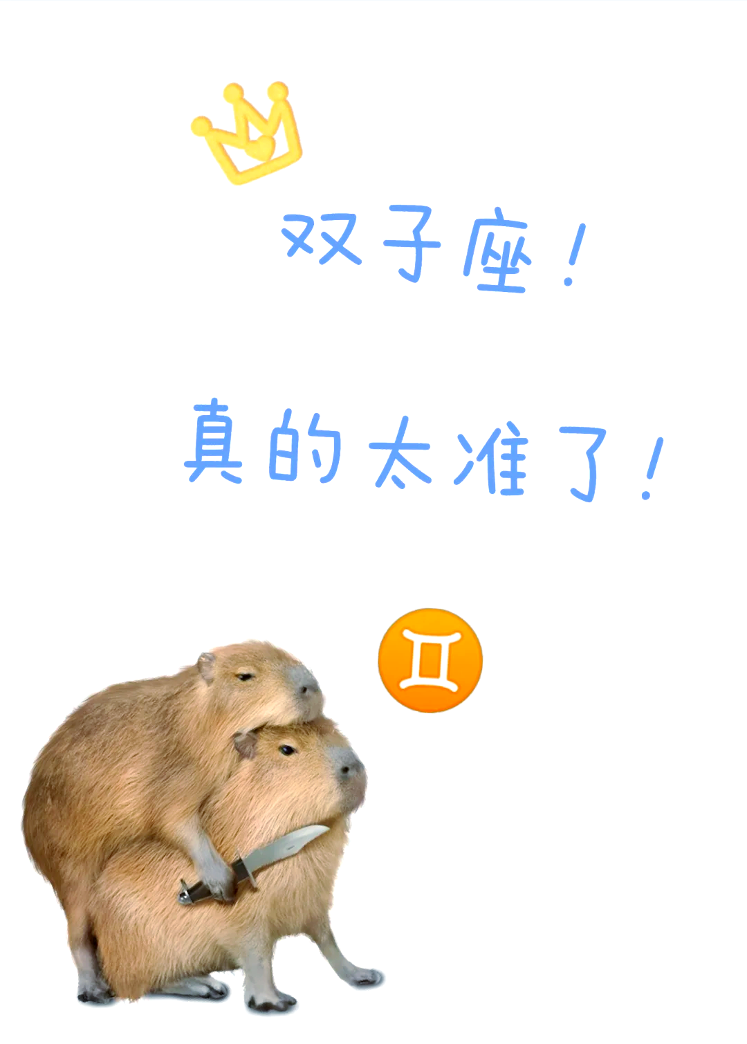 满脑子都是双子女的星座男(满脑子都是双子女的星座男有哪些) 满脑子都是双子女的星座男(满脑子都是双子女的星座男有哪些)