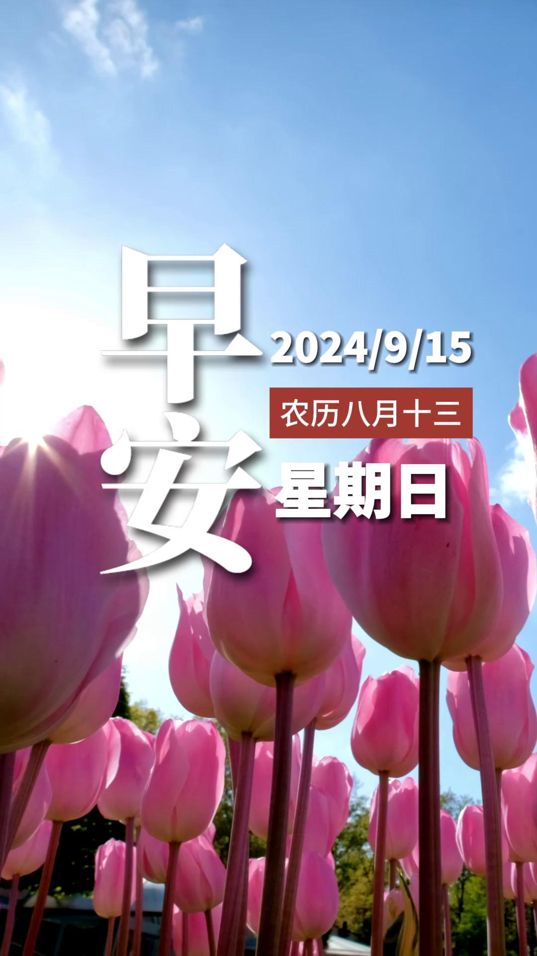 农历八月十三日是什么日子(农历八月十三是什么日子请告诉我) 农历八月十三日是什么日子(农历八月十三是什么日子请告诉我)