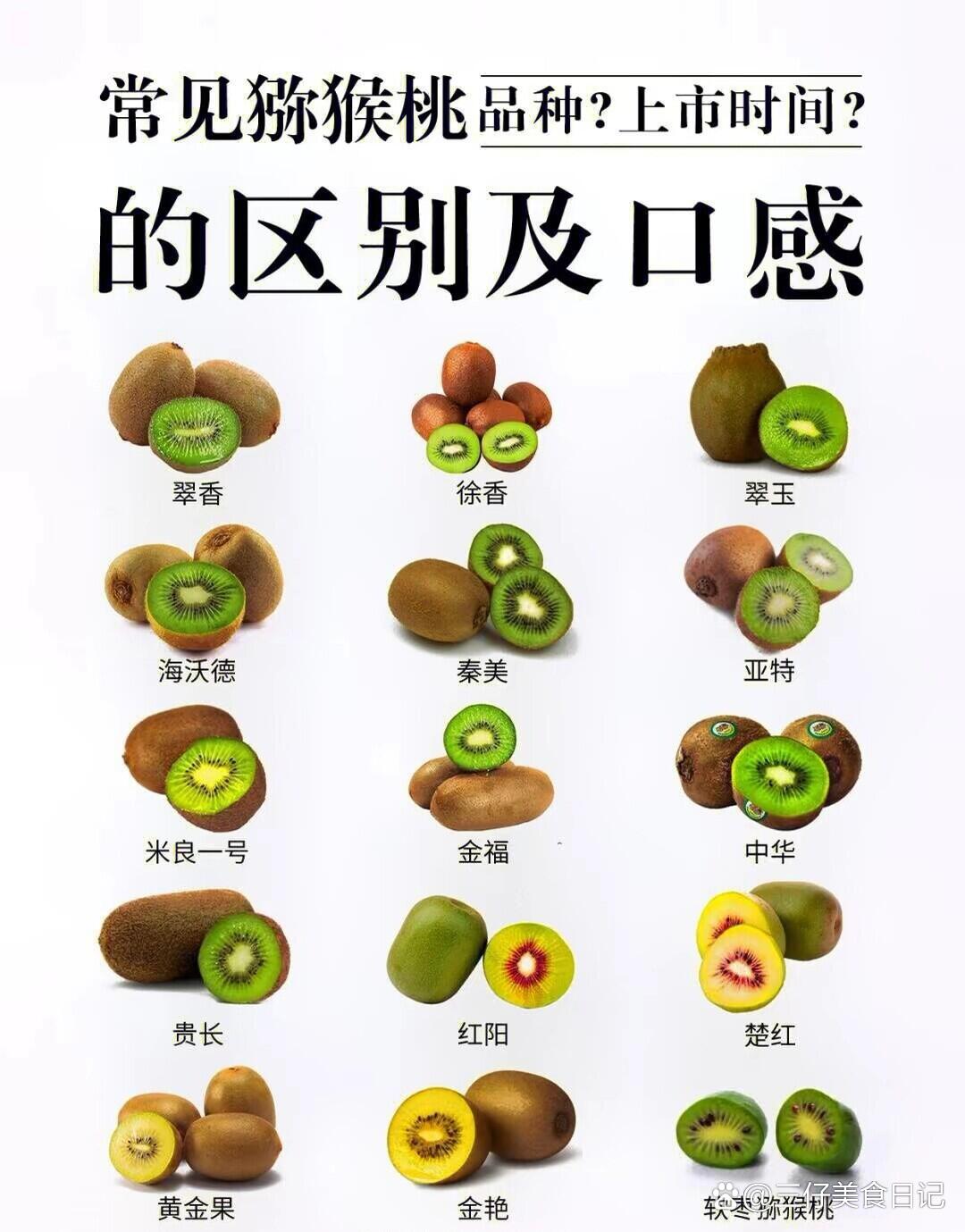 红心猕猴桃和黄心猕猴桃哪个营养价值高(红心猕猴桃和黄心猕猴桃哪个营养价值高芭芭农场)