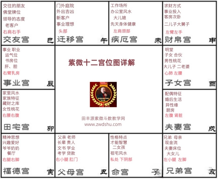 八字命宫查询表(八字命宫算法及应用)