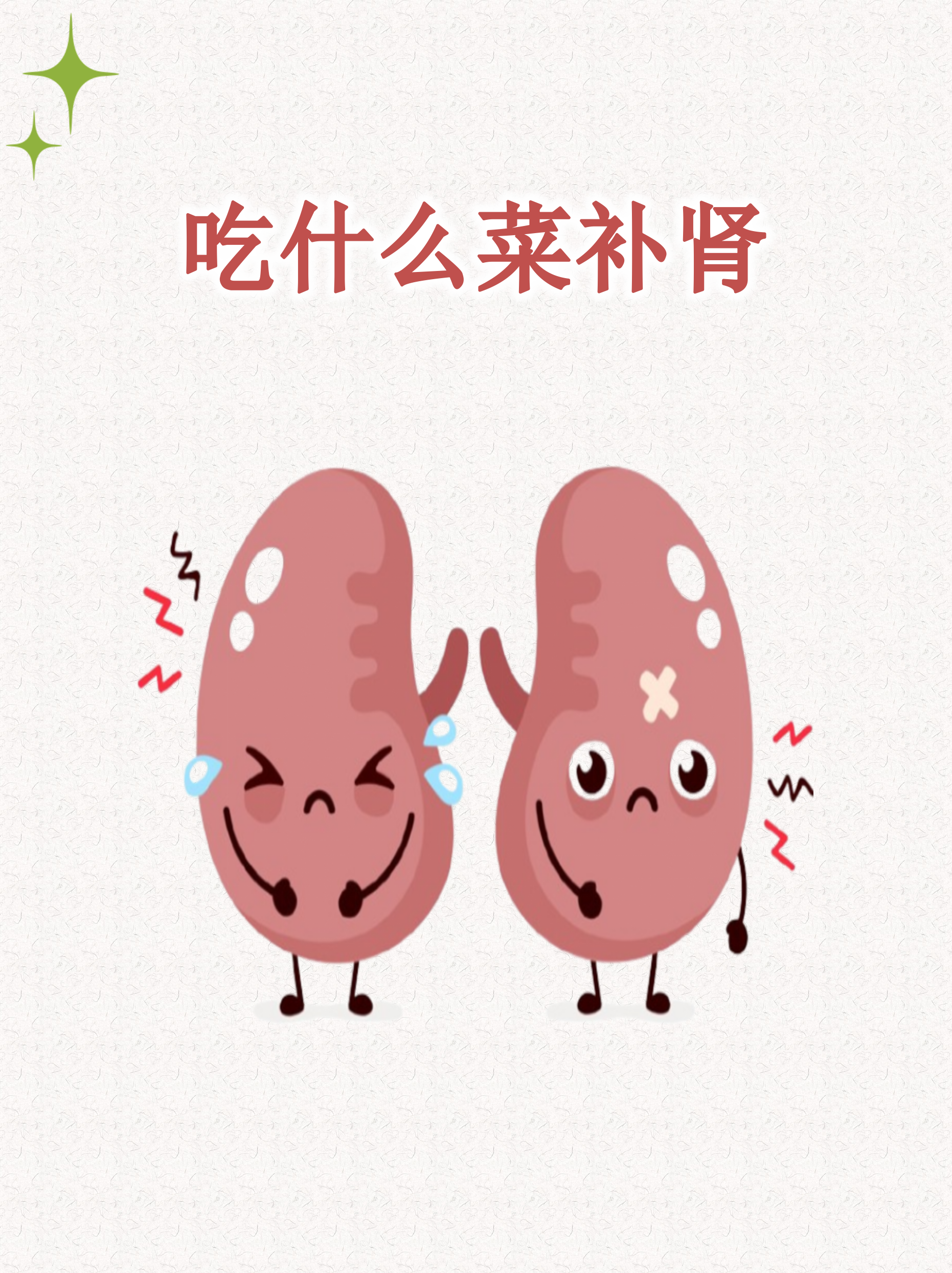 补肾食物排行榜10强(补肾食物排行榜10强百度百科) 补肾食物排行榜10强(补肾食物排行榜10强百度百科)