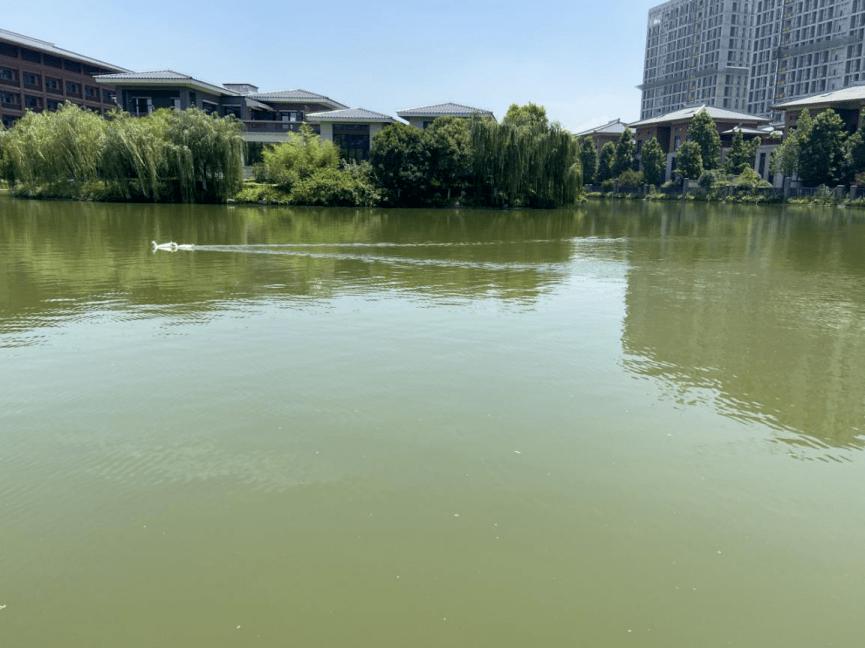 水光接天(水光接天的诗句)