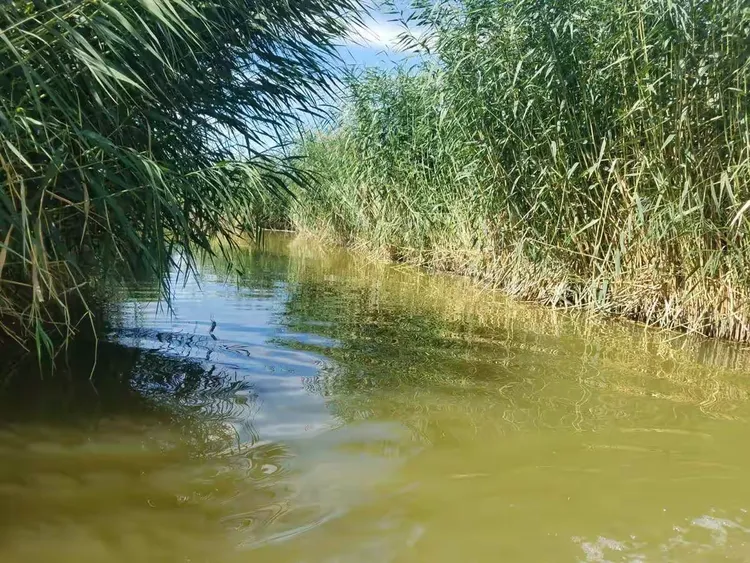 海市蜃楼的意思和拼音(海市蜃楼的拼音怎么拼写) 海市蜃楼的意思和拼音(海市蜃楼的拼音怎么拼写)
