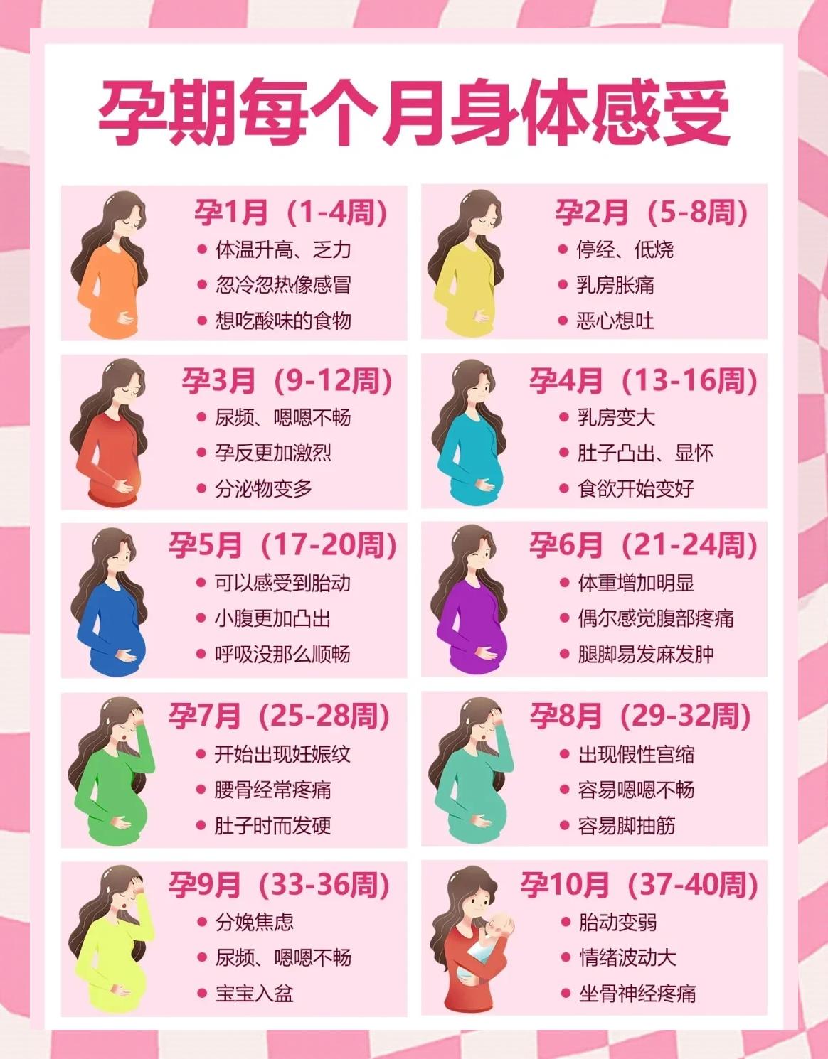 生育政策的变化历程(我国生育政策的变化历程)