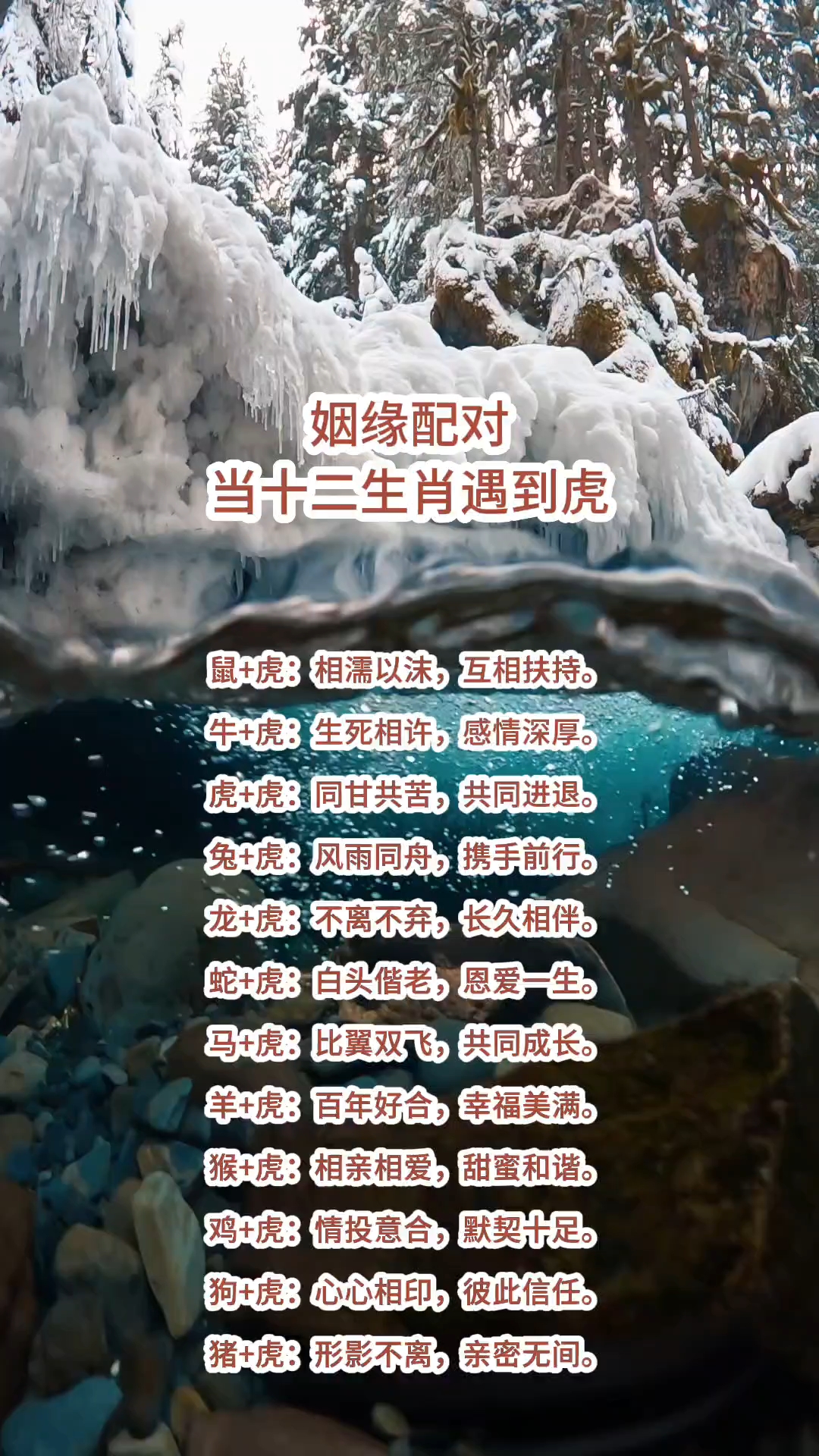 1998虎男2000龙女婚配(1998虎男 与2000龙女如何) 1998虎男2000龙女婚配(1998虎男 与2000龙女如何)