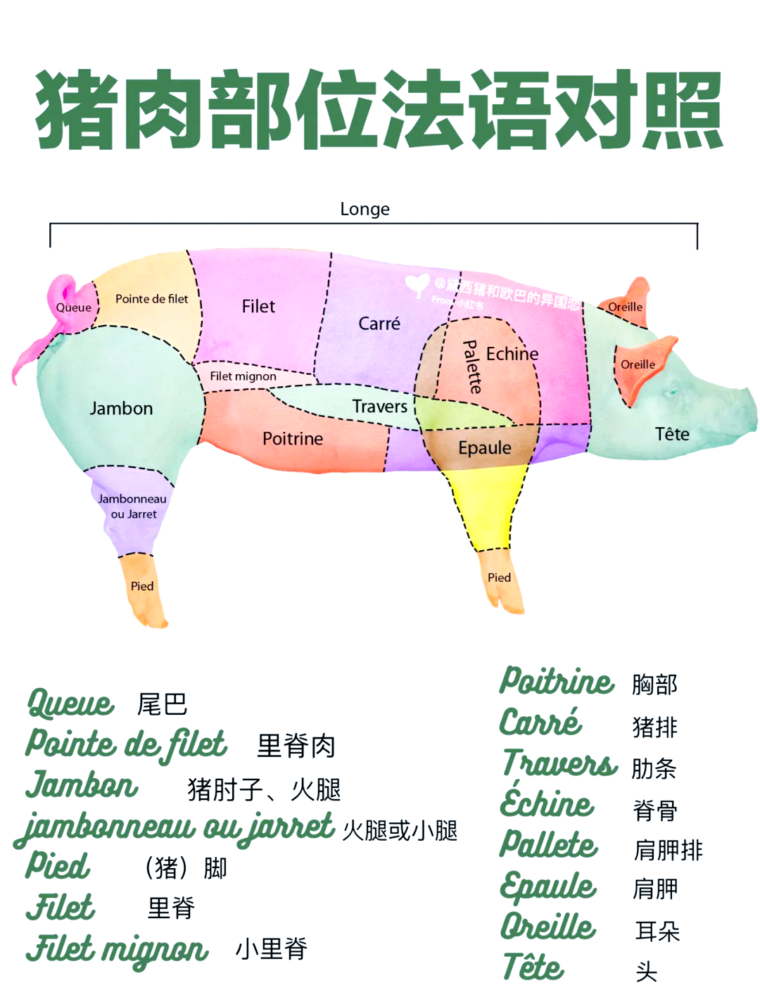 肉用英文怎么说(吃些鸡肉用英文怎么说) 肉用英文怎么说(吃些鸡肉用英文怎么说)