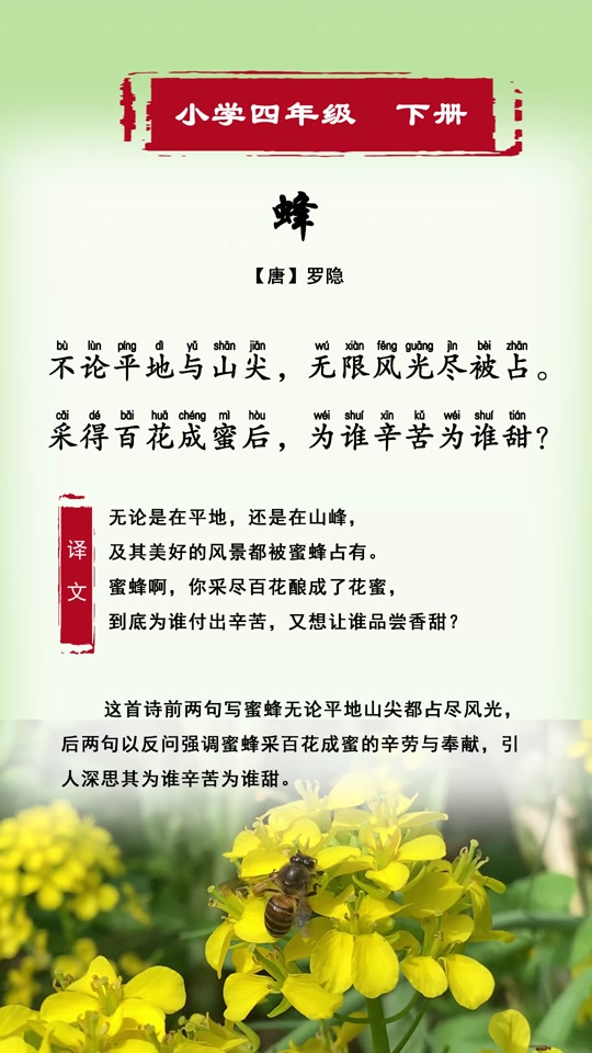 蜂围蝶阵的拼音(蜂围蝶阵的近义词)