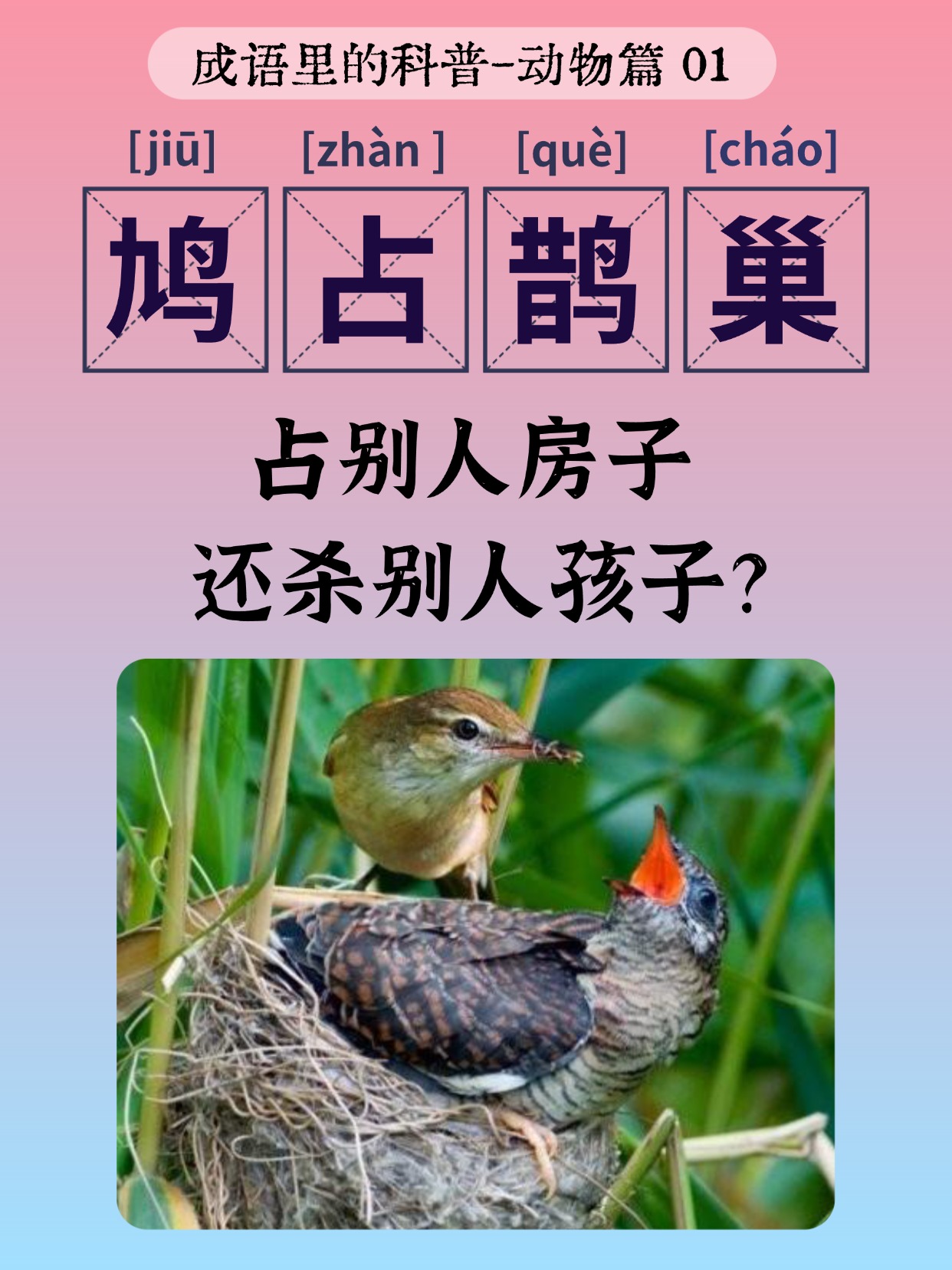 不折不扣的意思是什么(不折不扣的意思是什么最佳答案)