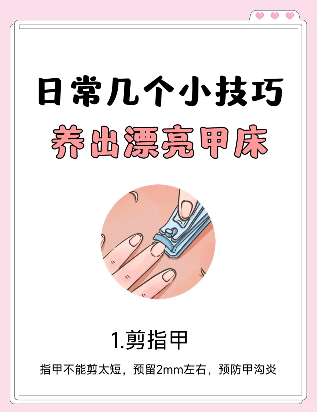 亮甲的正确使用方法(亮甲正确使用方法图片)