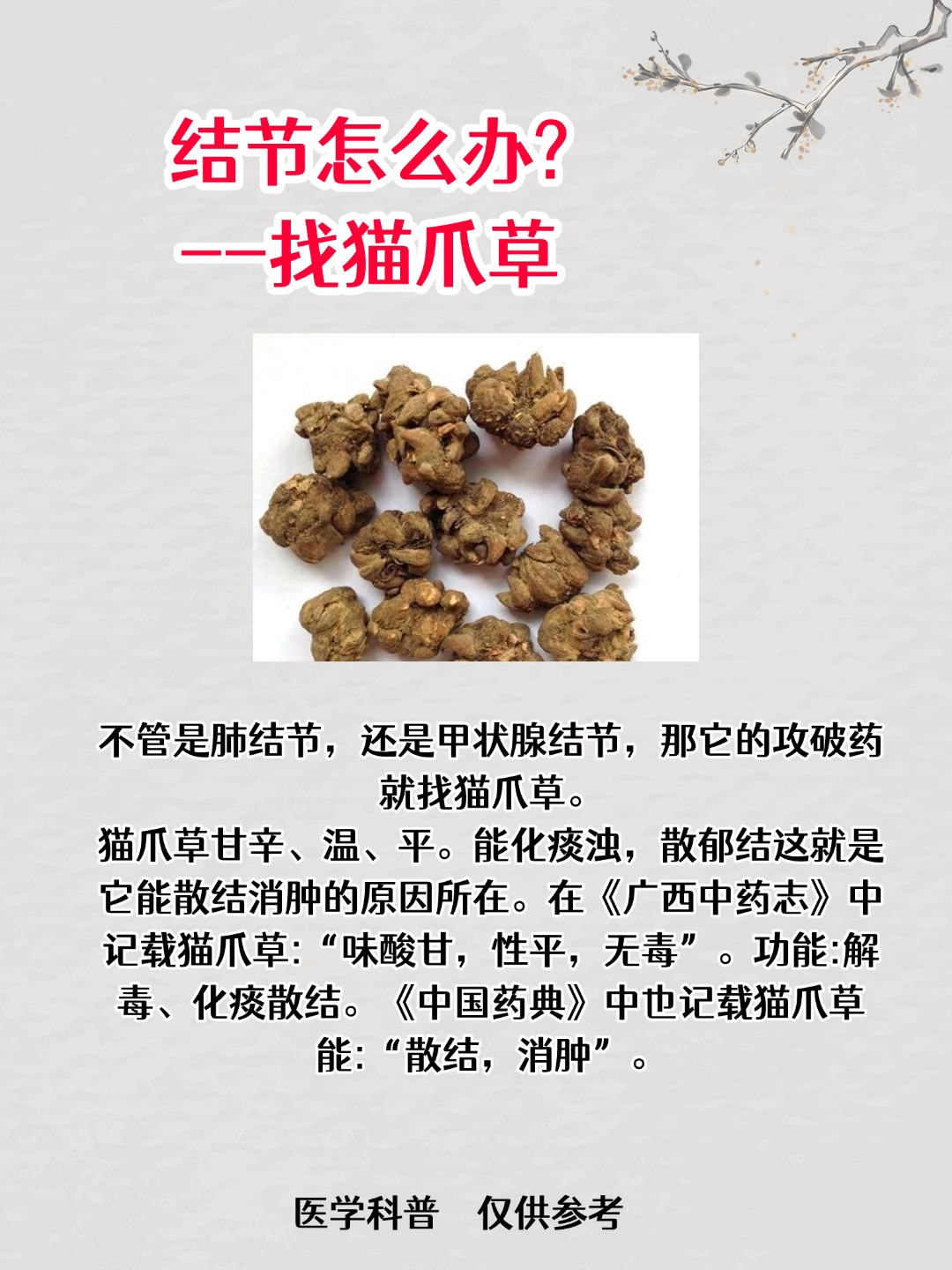 仙灵脾的功效与作用(仙灵脾的功效与作用禁忌)
