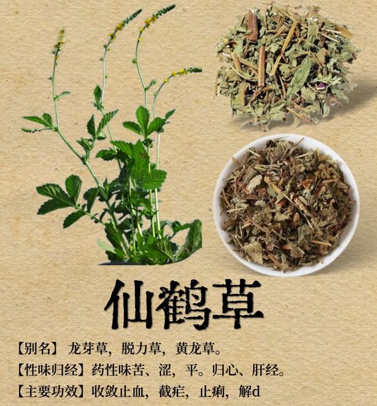 仙灵脾的功效与作用(仙灵脾的功效与作用禁忌)