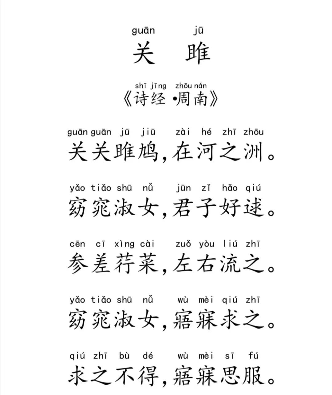 鸠占鹊巢的拼音(鸠占鹊巢的拼音怎么读)