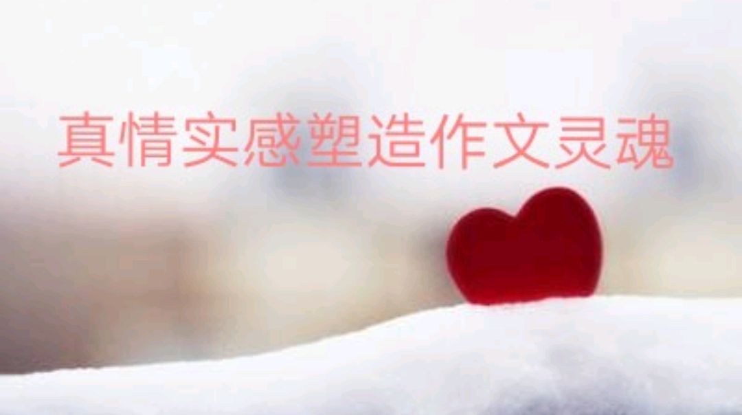 真情实感(真情实感作文400字)
