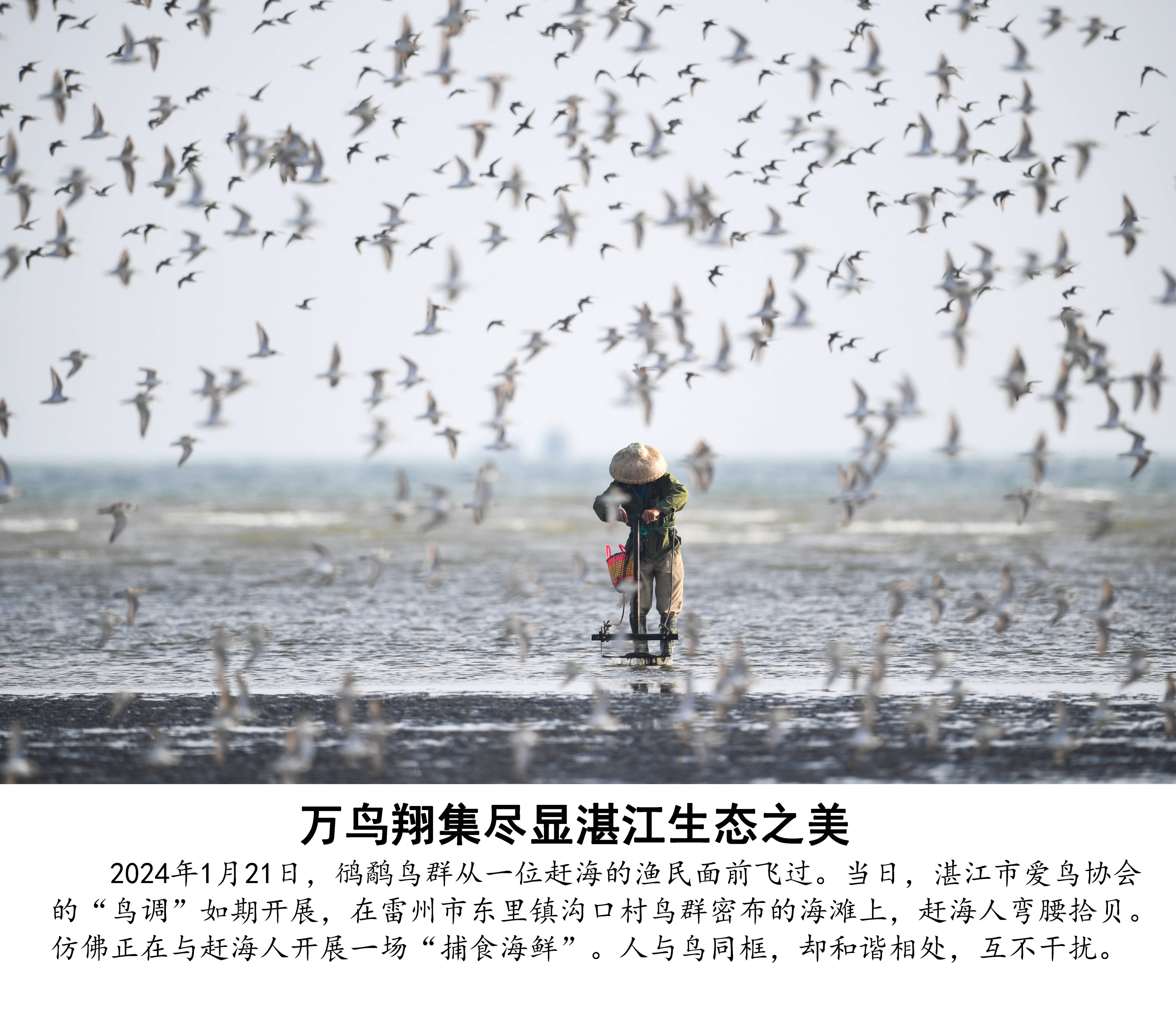新闻摄影图片(新闻摄影图片素材)