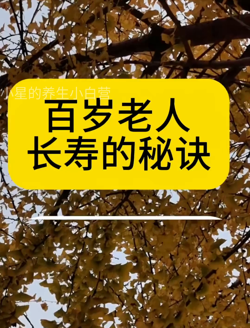 107岁老人长寿秘诀(107岁老人长寿秘诀是什么)