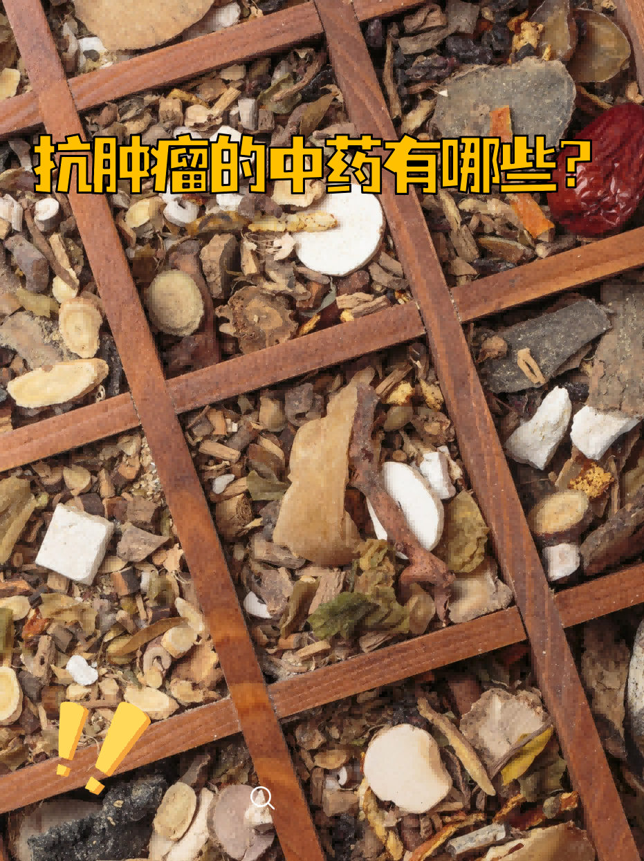 治好很多肿瘤的老中医(治好很多肿瘤的老中医是谁)