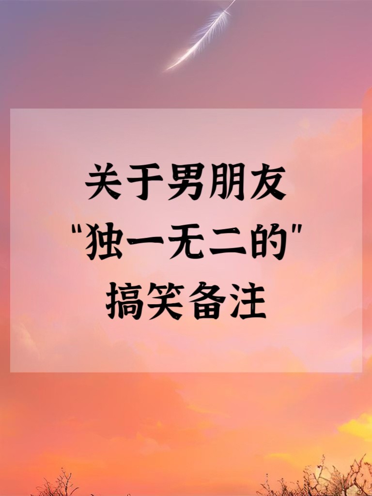 给男朋友特殊搞怪的备注(男朋友特殊搞怪的备注符号)