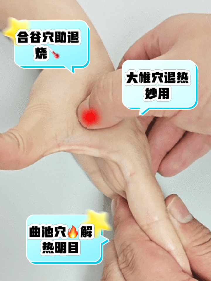 正确贴退热贴位置图片(正确贴退热贴位置图片 部位)