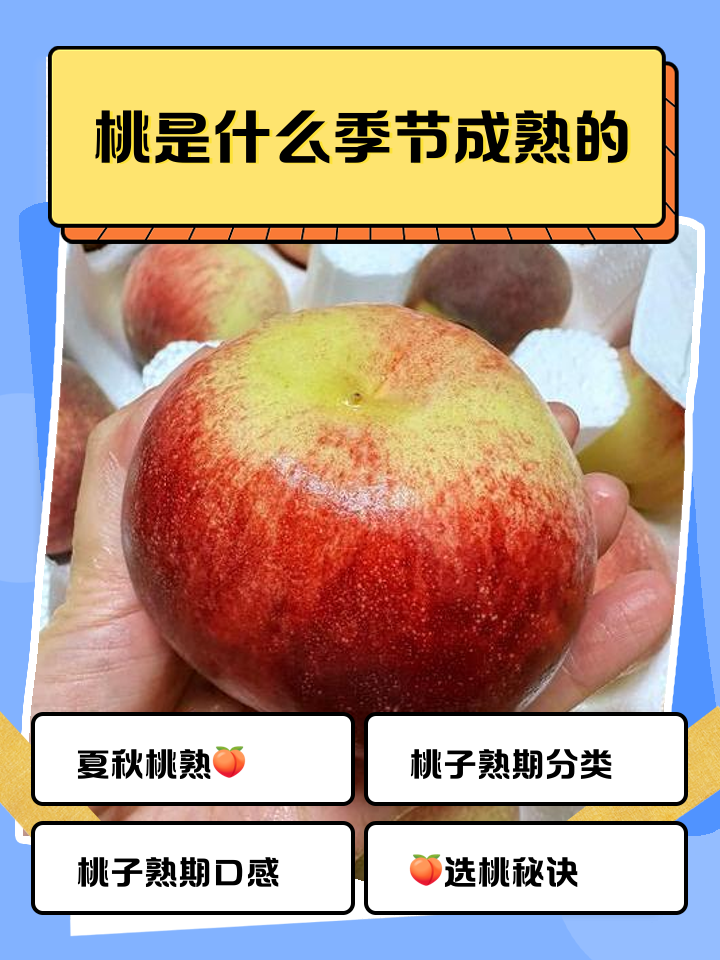 水蜜桃上火还是降火的简单介绍