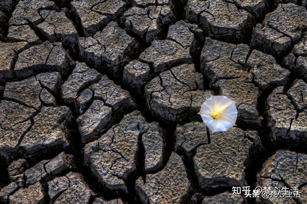 赶尽杀绝的意思是什么(赶尽杀绝的意思是什么?)