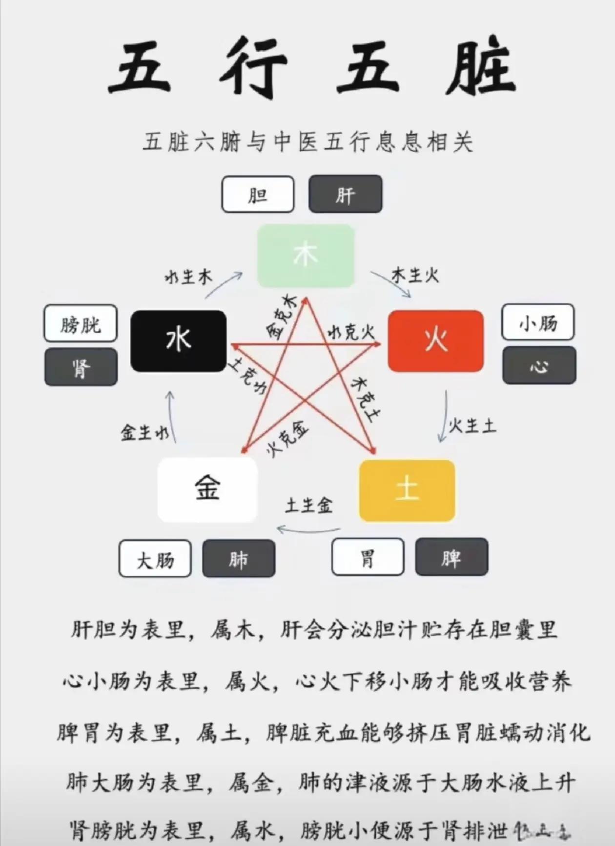 中医五脏六腑五行相生相克口诀(中医五脏六腑五行相生相克口诀是什么)