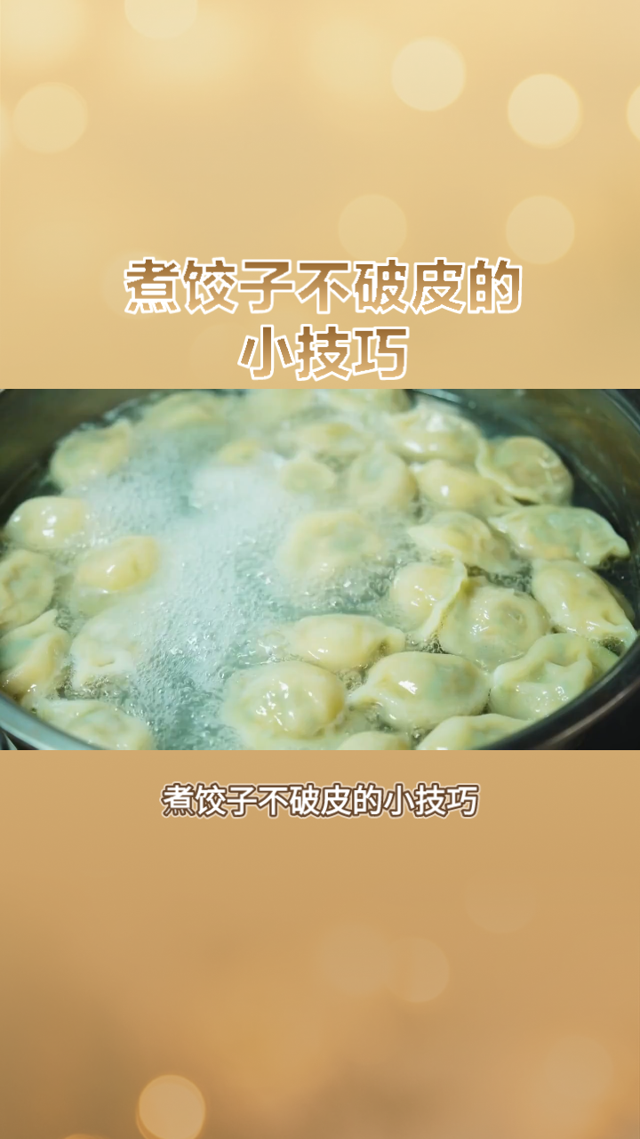 水饺怎么煮不破皮(饺子皮500g面加多少水)