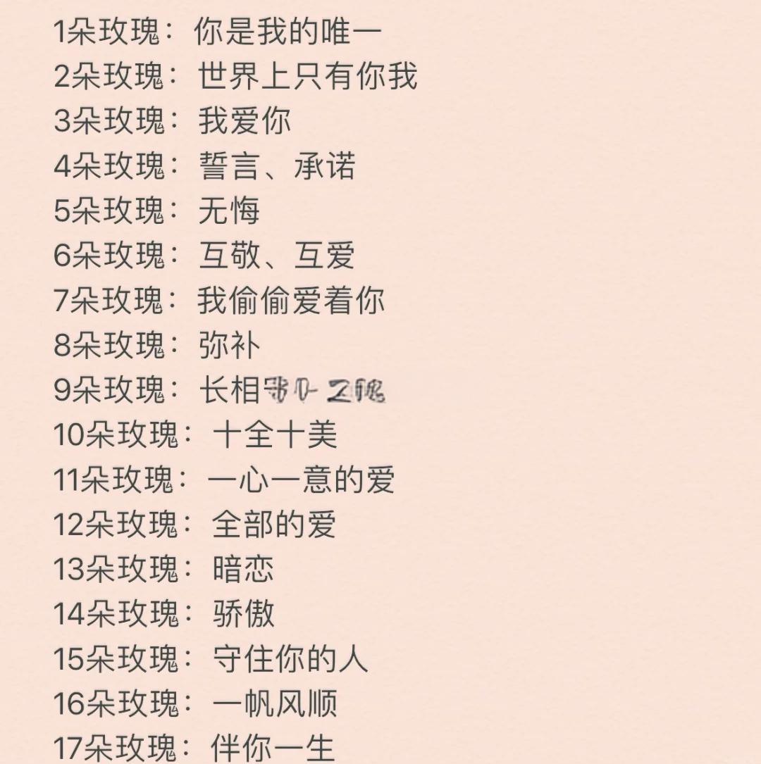数字含义爱情1-1000(数字含义爱情11000爱情密码表白)