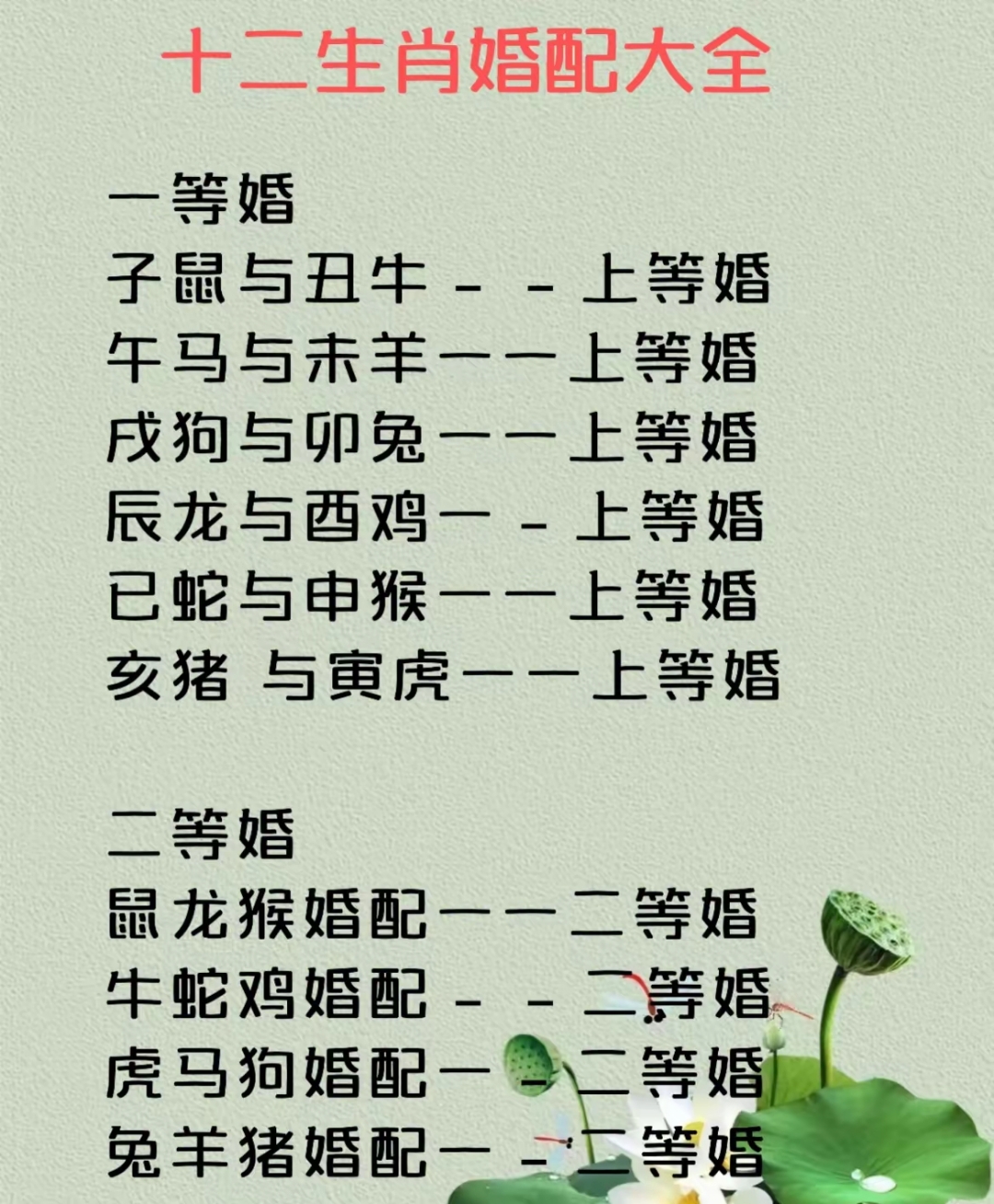 陋巷箪瓢是什么生肖(陋巷箪瓢是什么生肖鸱目虎吻是什么动物)