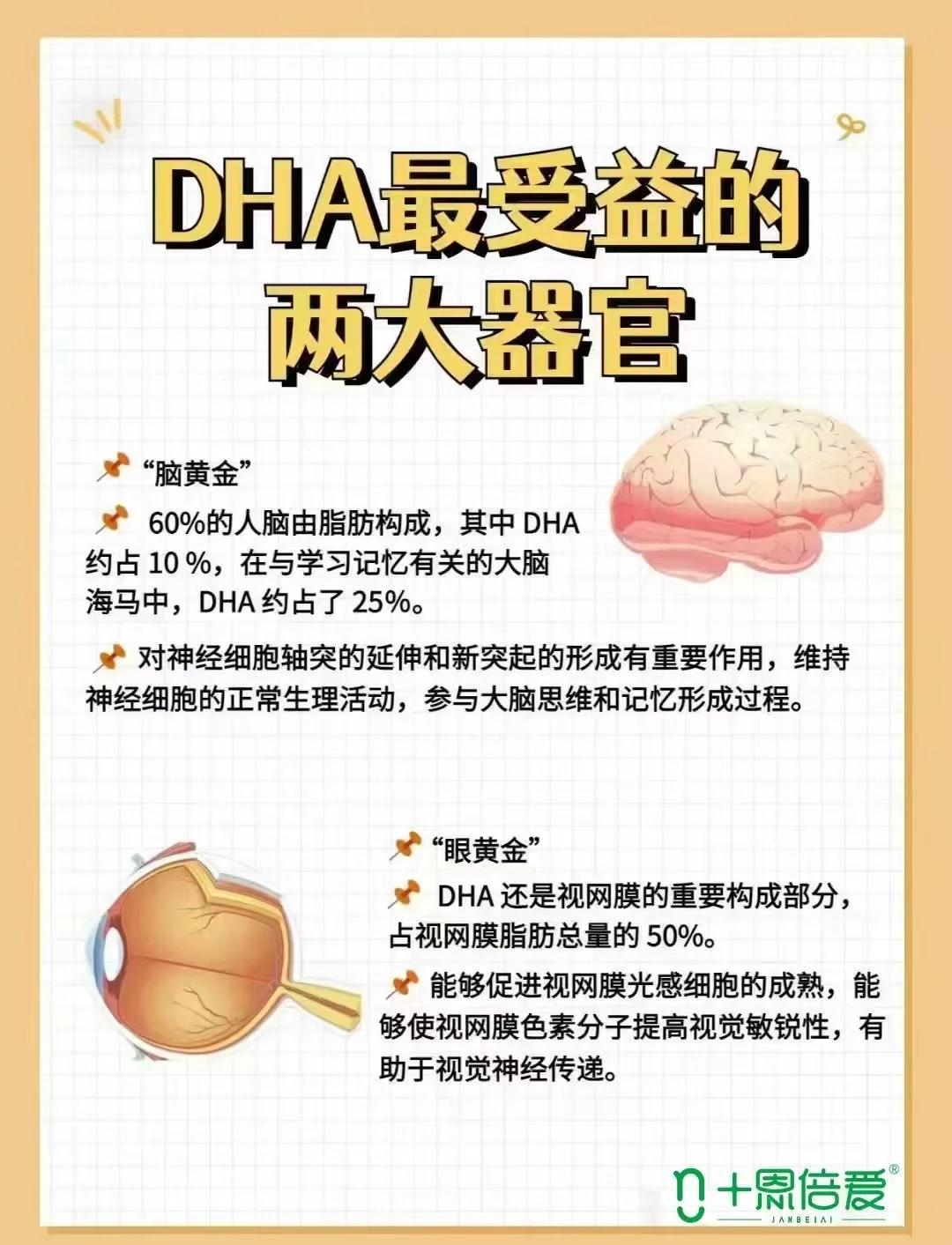 dha是什么意思啊(营养学dha是什么意思啊)