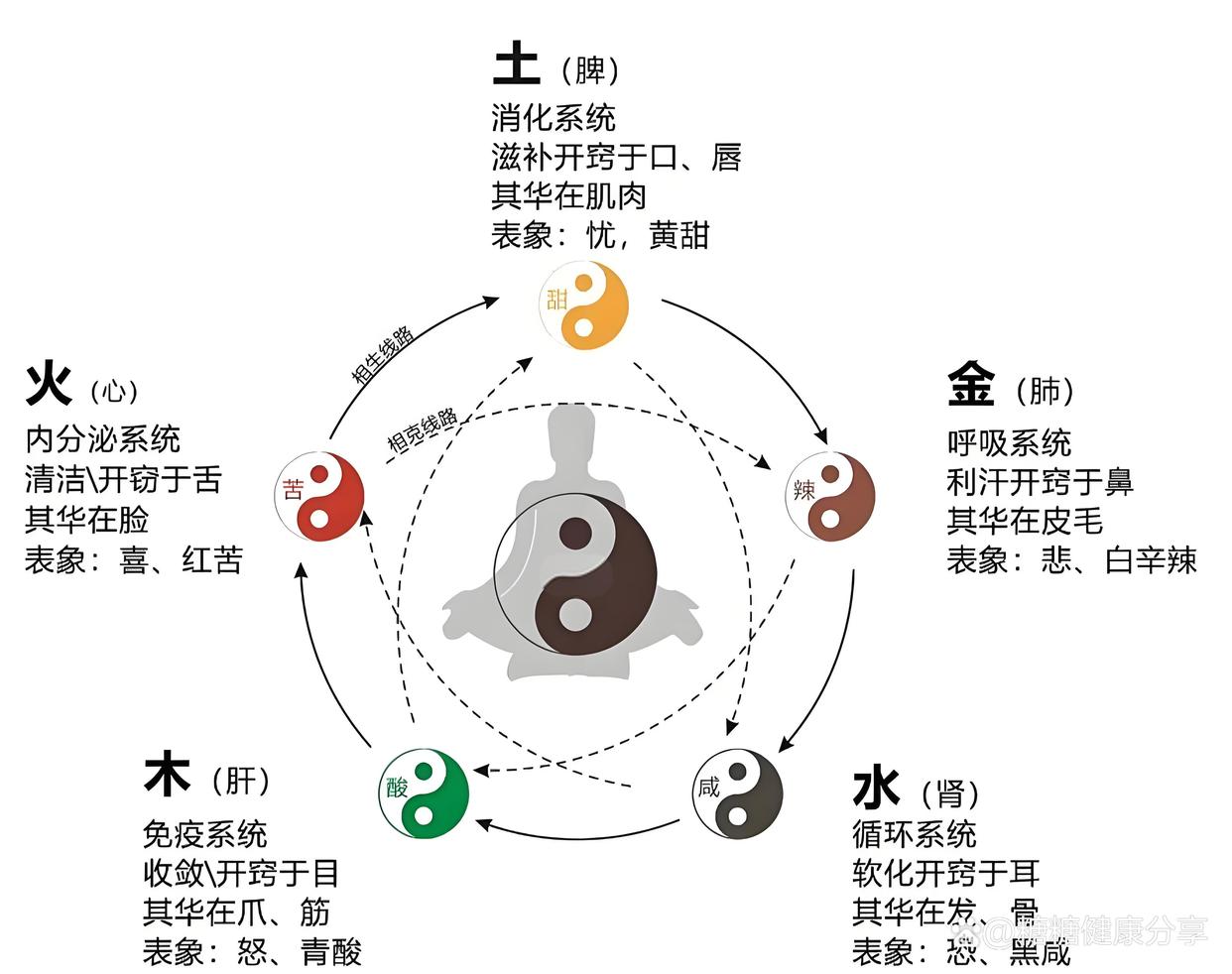 五行分别代表什么(五行分别代表什么颜色和寓意)