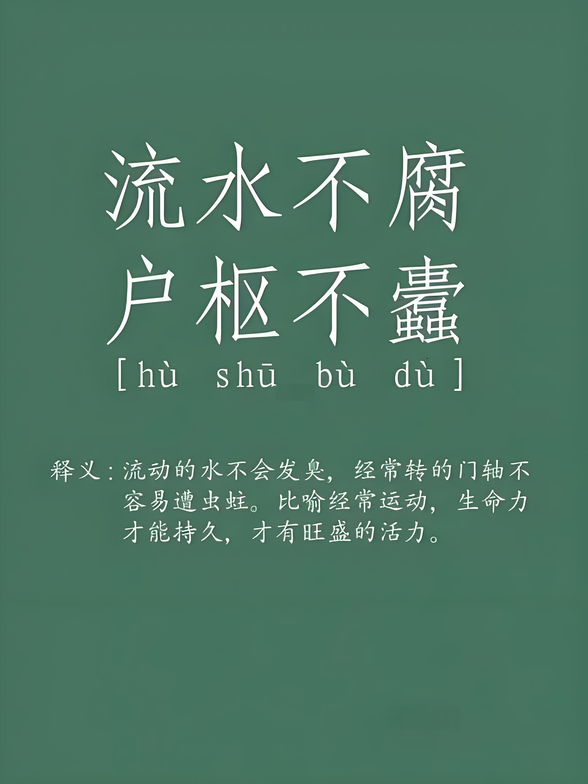 不塞不流不止不行的意思解释(不塞不流不止不行的意思解释是什么)