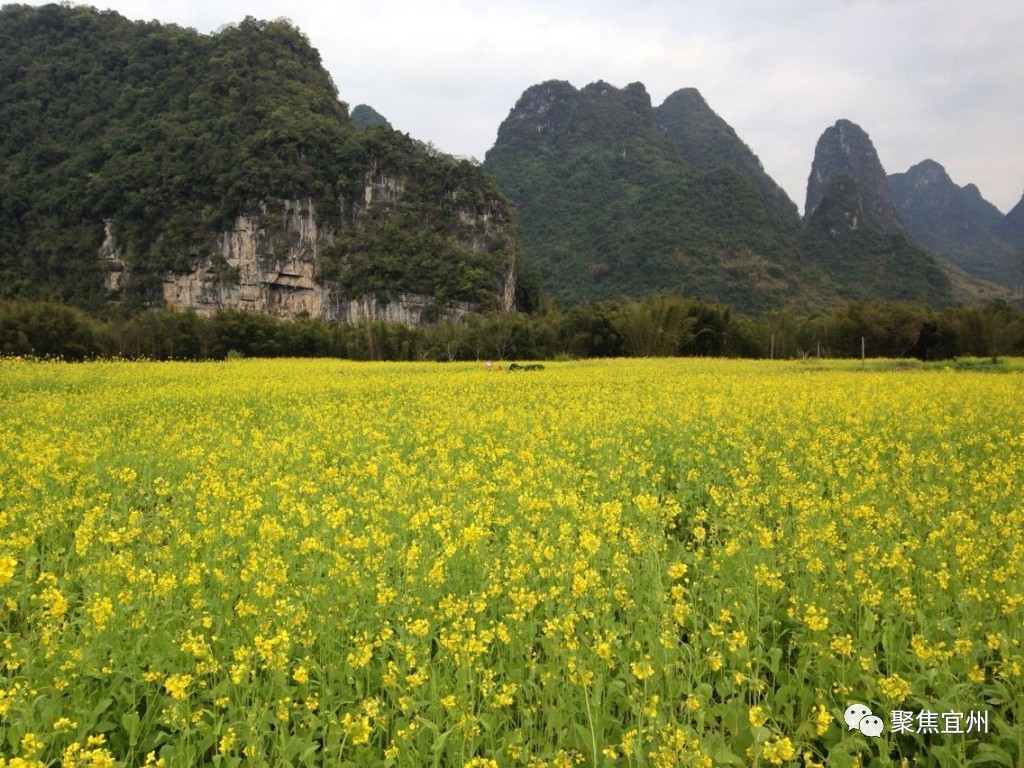 宜州到柳州汽车时刻表(宜州到柳州汽车时刻表最新)