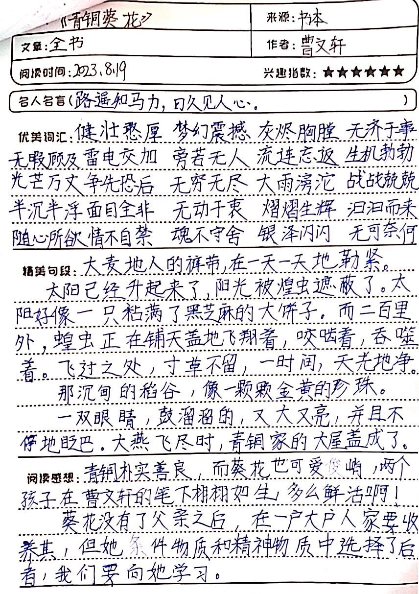 青铜葵花好词(青铜葵花 好词)