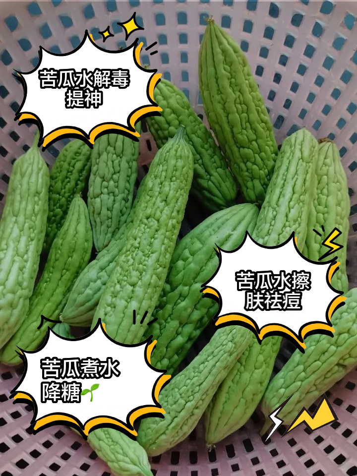 苦瓜泡水喝的正确方法(苦瓜泡水喝的正确方法是什么)