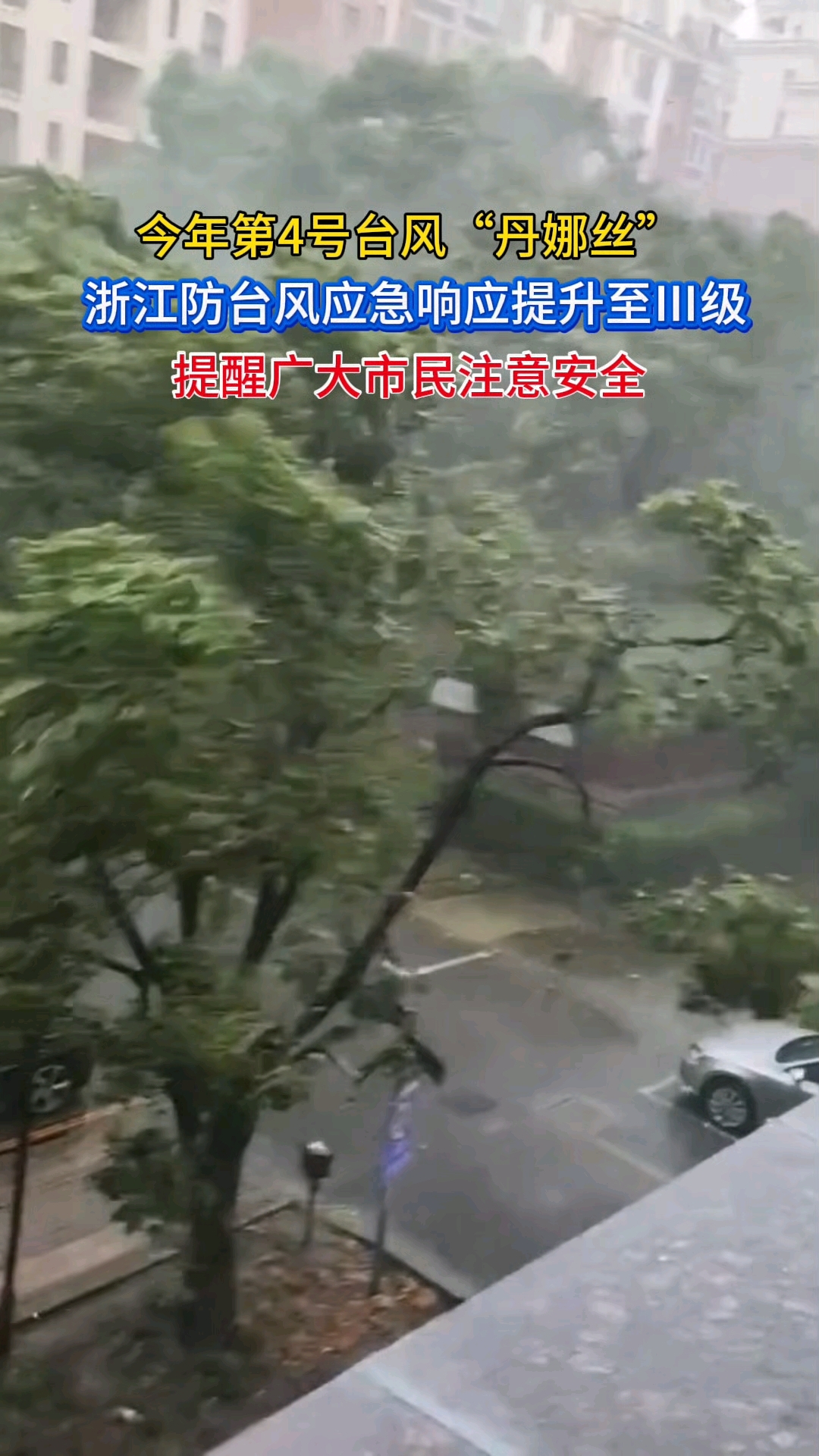 温州台风网(温州台风网app官方下载)